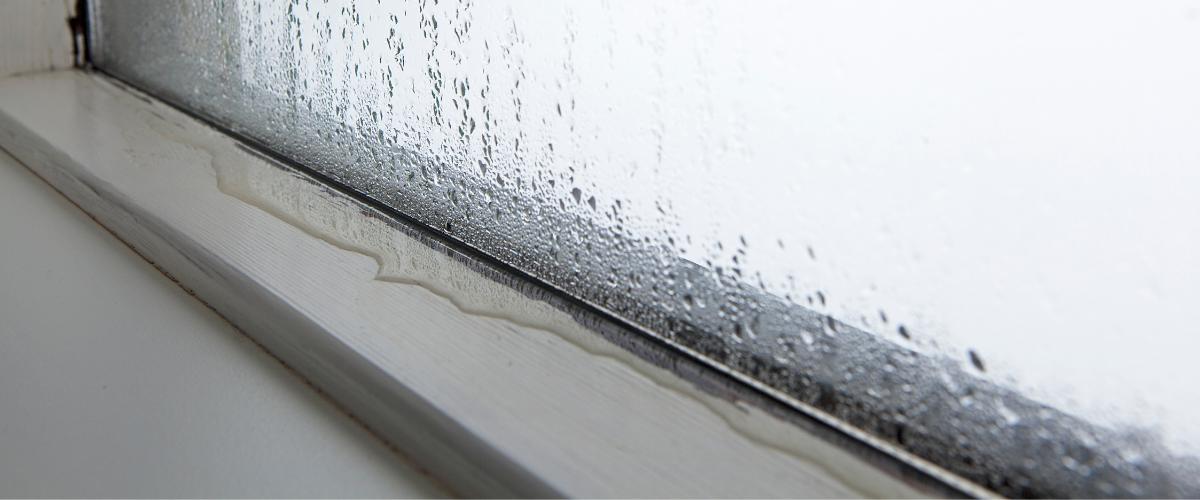 What causes high indoor humidity levels?